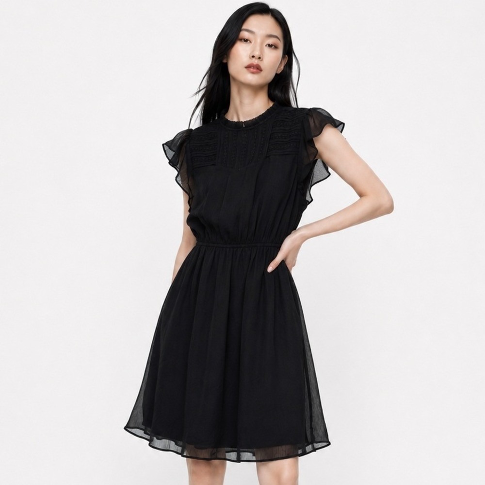 Daniel Rainn Ella Chiffon Flounce Hem Dress Black Flutter Sleeve S NWT